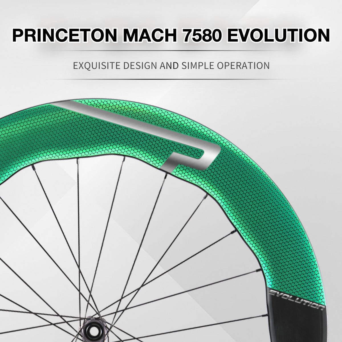 Princeton MACH 7580 Wheel Decal Sticker Kit – Logo Cover & Color Change