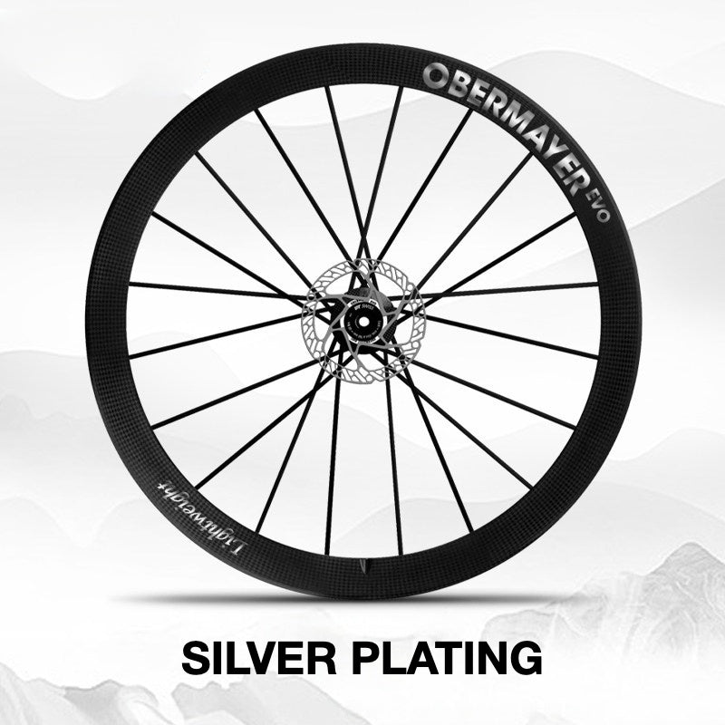 Lightweight Obermayer EVO Wheel Decal Sticker Kit – Logo Cover & Color Change