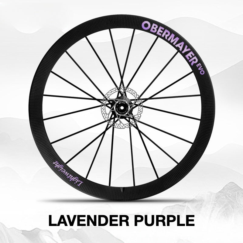 Lightweight Obermayer EVO Wheel Decal Sticker Kit – Logo Cover & Color Change