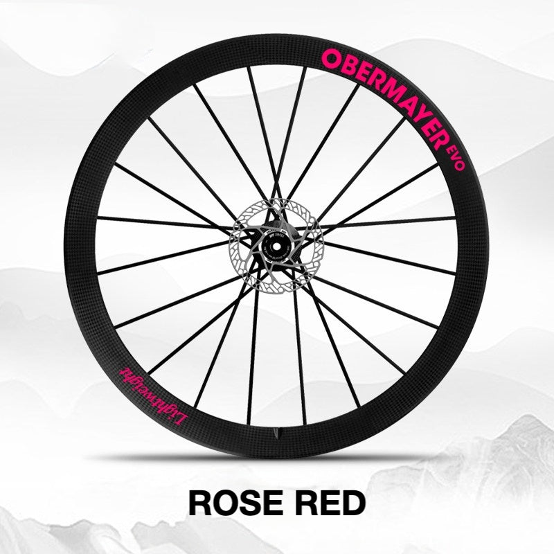 Lightweight Obermayer EVO Wheel Decal Sticker Kit – Logo Cover & Color Change