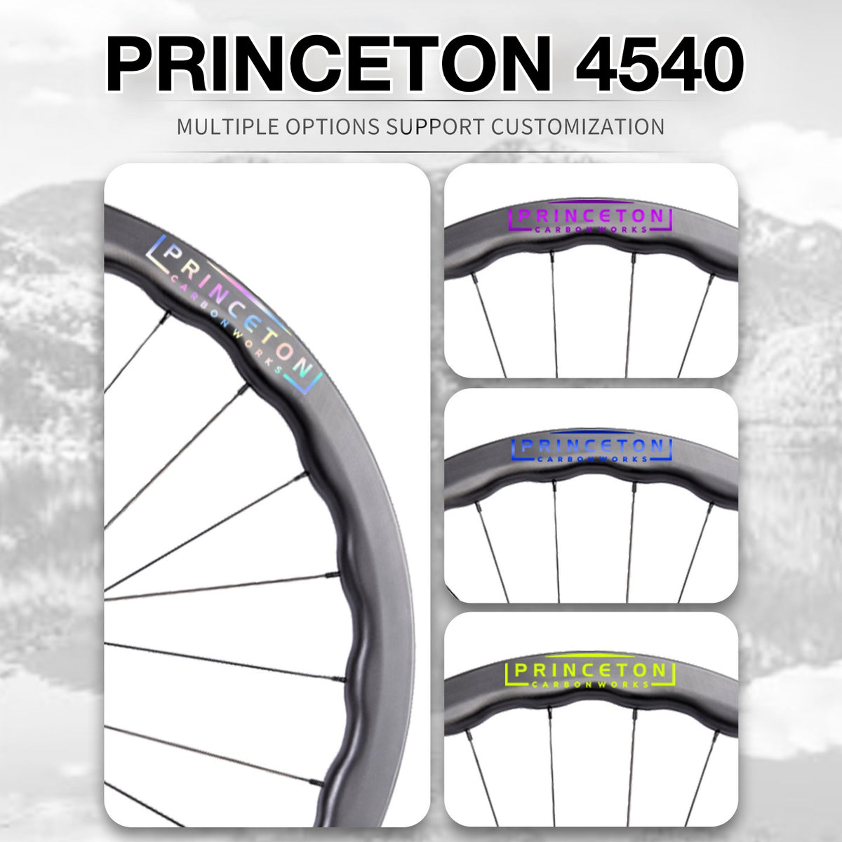 Princeton 4540 Wheel Decal Sticker Kit – Logo Cover & Color Change