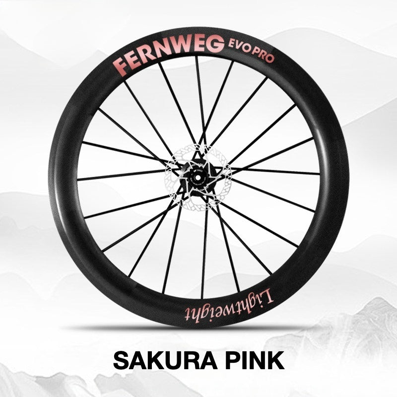 Lightweight Fernweg EVO Pro 63 Wheel Decal Sticker Kit – Logo Cover & Color Change