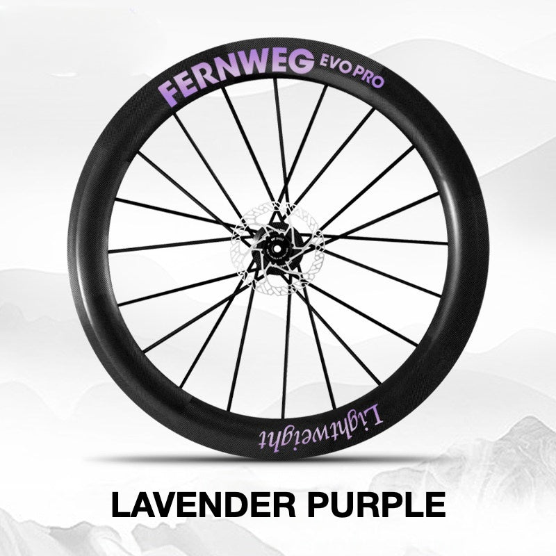 Lightweight Fernweg EVO Pro 63 Wheel Decal Sticker Kit – Logo Cover & Color Change