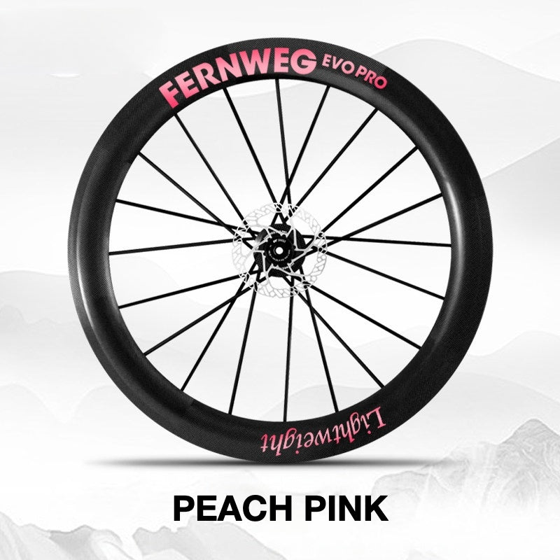 Lightweight Fernweg EVO Pro 63 Wheel Decal Sticker Kit – Logo Cover & Color Change